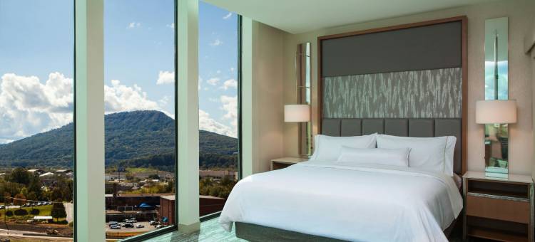 查塔努加威斯汀酒店(The Westin Chattanooga)图片