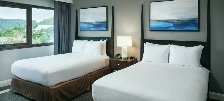 布伦特伍德纳许维尔套房希尔顿酒店(Hilton Brentwood/Nashville Suites)图片