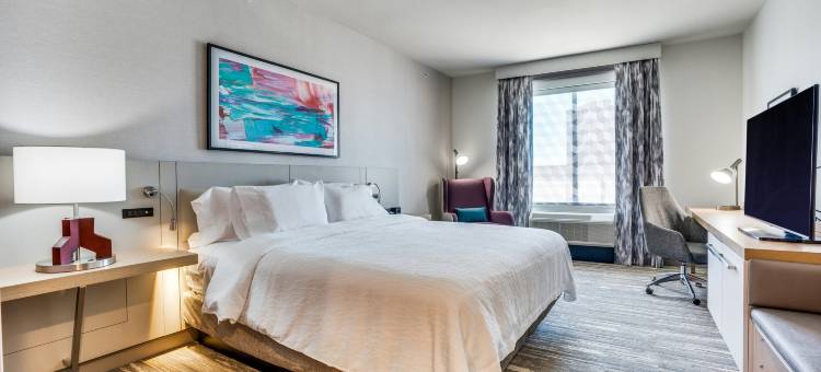希尔顿花园酒店 北达拉斯中央高速公路(Hilton Garden Inn North Dallas Central Expy)图片