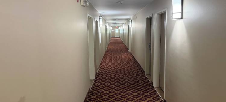 安大略伦敦会议中心Travel Inn酒店(London Travel Inn Near Conference Centre ON)图片