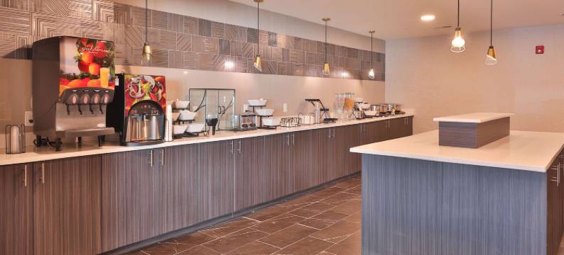 纳什维尔贝斯特韦斯特优质行政套房优质酒店(Best Western Plus Executive Residency Nashville)图片