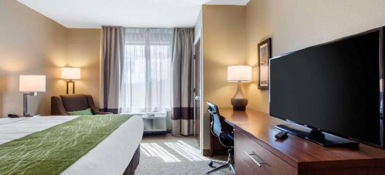 克罗斯普雷克斯乡村舒适套房酒店(Comfort Inn & Suites at CrossPlex Village)图片