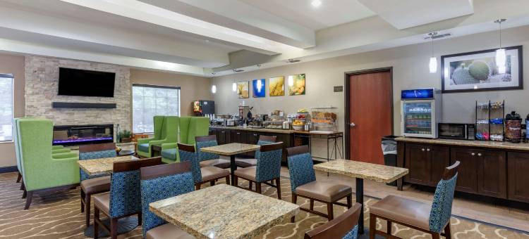 派瑞斯舒适酒店(Comfort Inn & Suites Paris)图片