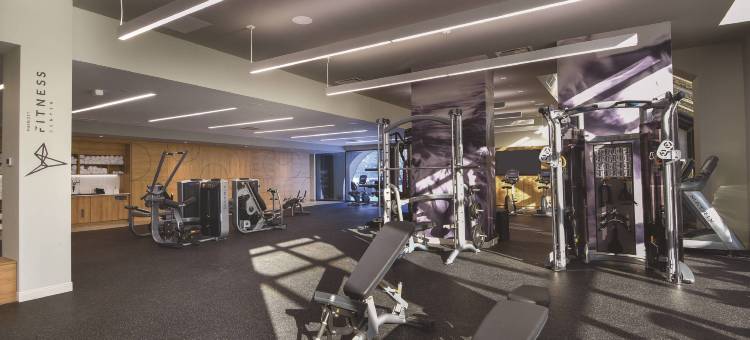 蒙特利尔山普林城堡万豪酒店(Montreal Marriott Chateau Champlain)图片