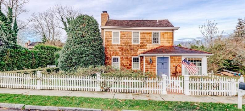 Plum Guide - Sea Aster图片