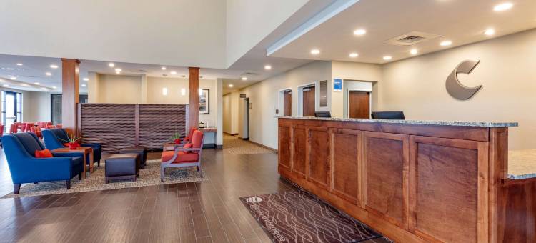 白宫舒适酒店(Comfort Inn White House)图片