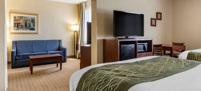 舒适酒店(Comfort Inn Warren)图片