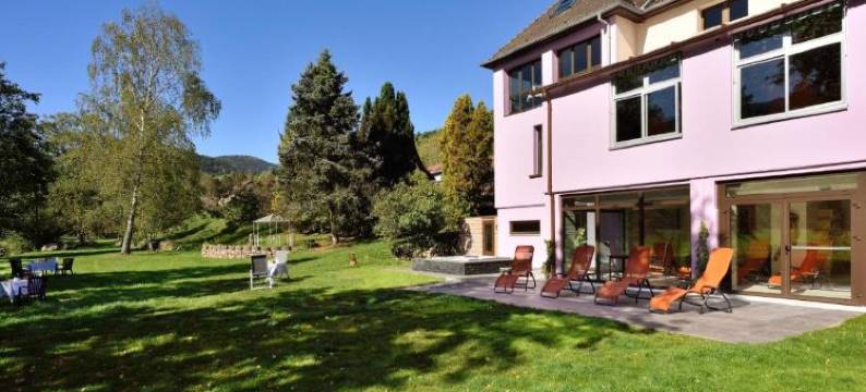 孚日之家酒店(Logis Hotel des Vosges)图片