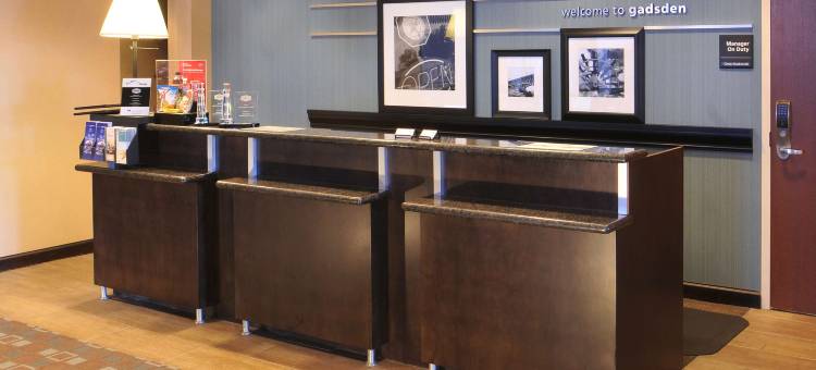 加兹登/阿塔拉59号州际公路希尔顿欢朋酒店(Hampton Inn Gadsden/Attalla I-59)图片