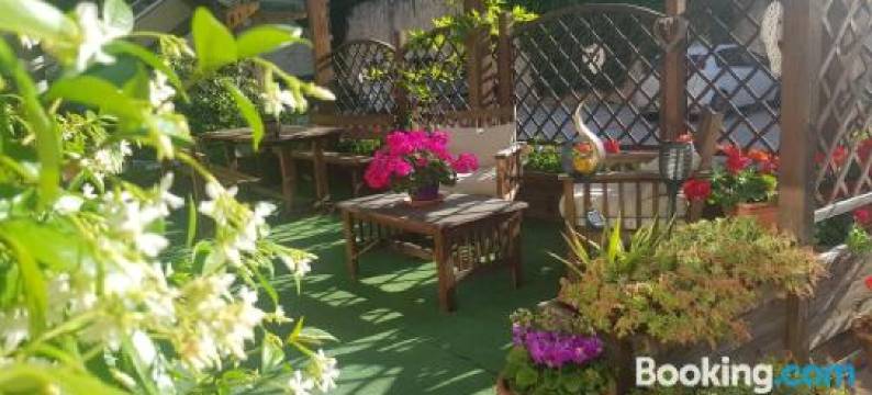 萝利酒店(Hotel Lory & Ristorante Ferraro)图片