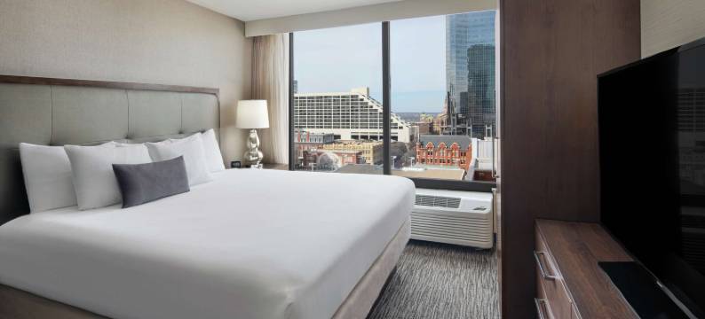 沃斯堡市中心希尔顿大使套房酒店(Embassy Suites by Hilton Fort Worth Downtown)图片