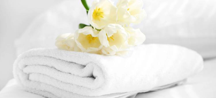 柴尔德里斯美国套房酒店(American Inn & Suites Childress)图片