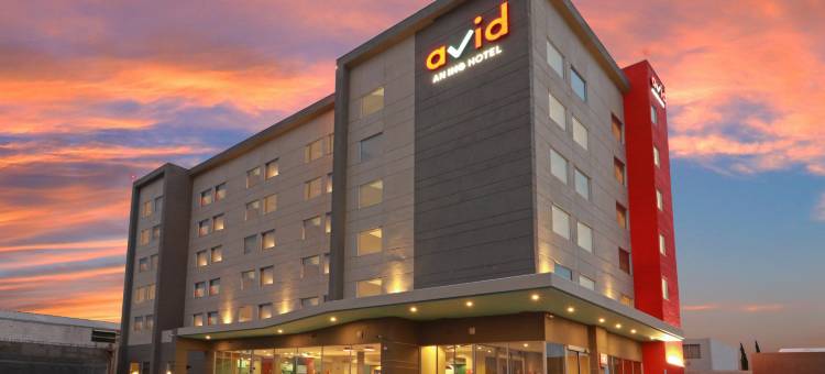 洲际酒店集团费雷斯尼洛avid酒店(Avid Hotel Fresnillo)图片