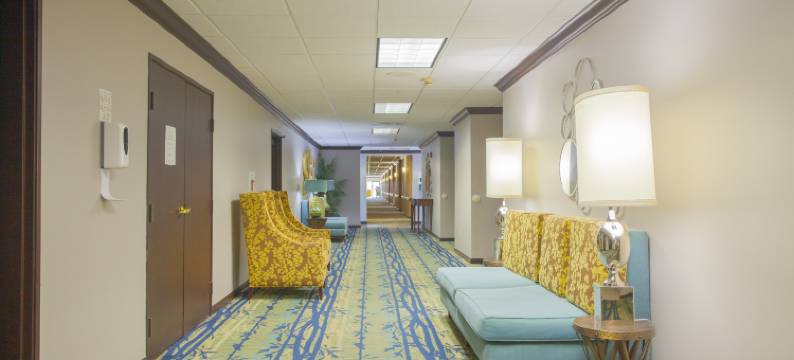 Holiday Inn & Suites 的林地(Holiday Inn & Suites SPRING - THE WOODLANDS AREA by IHG)图片