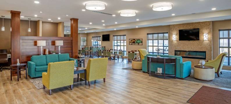 舒适套房酒店(Comfort Inn & Suites)图片