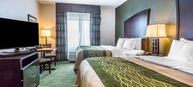 舒适套房酒店-穆尔俄克拉何马市(Comfort Inn & Suites Moore - Oklahoma City)图片