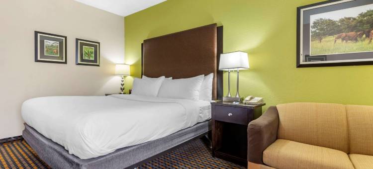 舒适酒店及套房-阿什伯勒东部(Comfort Inn & Suites Asheboro East)图片