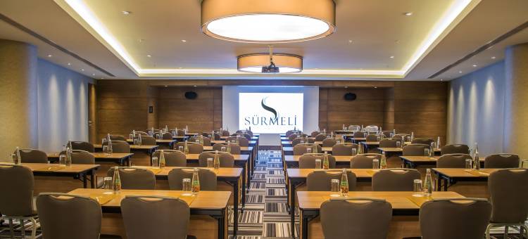 伊斯坦布尔瑟梅里酒店(Surmeli Istanbul Hotel)图片