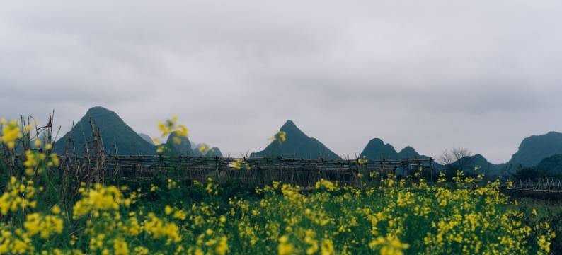 LiLi家公寓(中隐路1号分店)图片