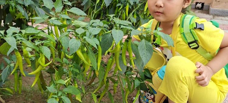 丽人之家度假别墅(红石碑1号分店)图片