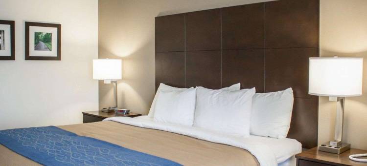 富基瓦里纳舒适套房酒店(Comfort Inn & Suites Fuquay Varina)图片