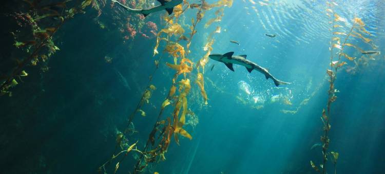 屏东山水乡村民宿图片