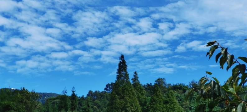 伴山院子度假别墅图片