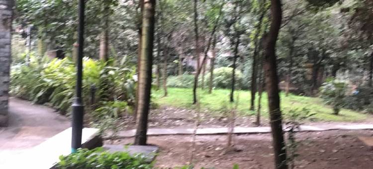 周渝公寓(一碗水后街分店)图片