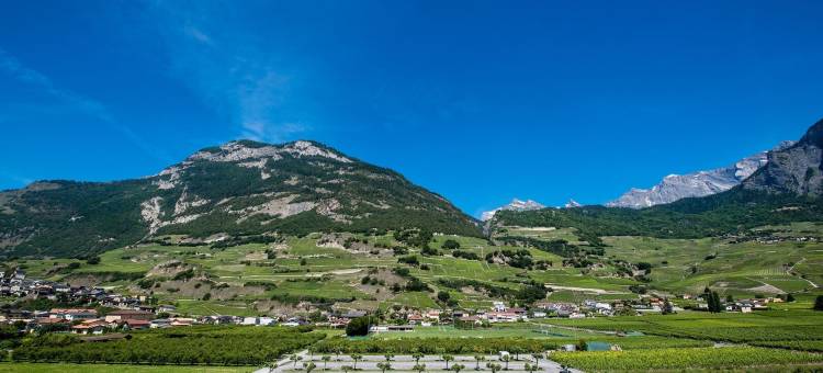 萨永贝恩斯酒店(Hotel Bains de Saillon)图片