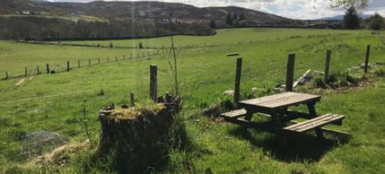 博吉山林小屋酒店(Borgie Lodge Hotel)图片