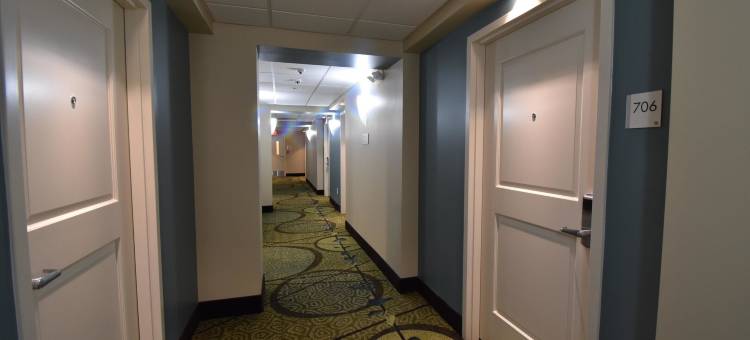 雅典贝斯特韦斯特酒店(Best Western Athens)图片