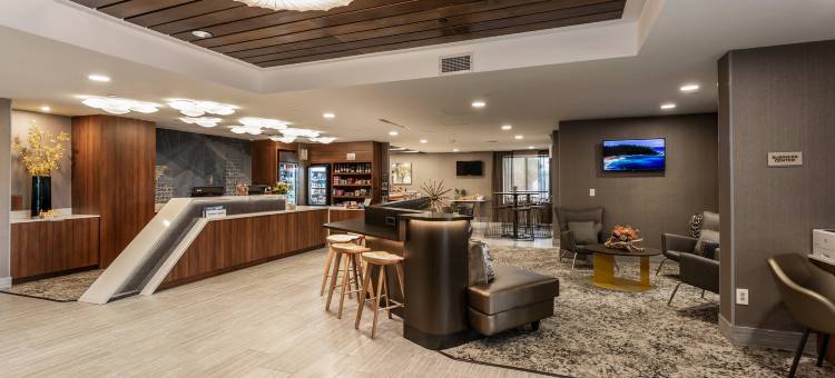 奥斯汀西北主商业区万豪SpringHill酒店(SpringHill Suites Austin the Domain Area)图片