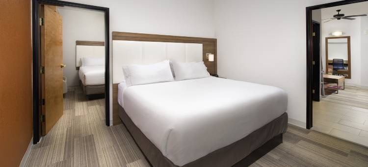 智选假日套房酒店圣安东尼奥DTWN市场区(Holiday Inn Express & Suites San Antonio-Dtwn Market Area)图片