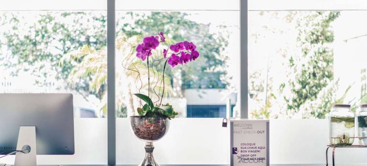 圣保罗奥林匹亚区美居酒店(Mercure Sao Paulo Vila Olimpia)图片