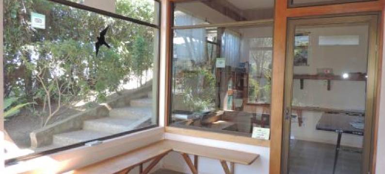 贝尔鸟酒店(Hotel Bell Bird)图片