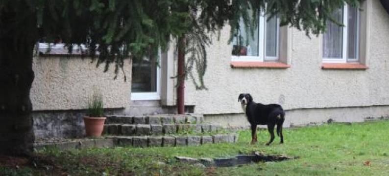 Gospodarstwo Agroturystyczne Agroletnica图片