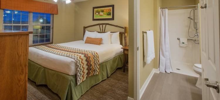 洲际酒店集团假日酒店俱乐部度假村迪索托木溪度假村(Holiday Inn Club Vacations Timber Creek Resort at de Soto)图片