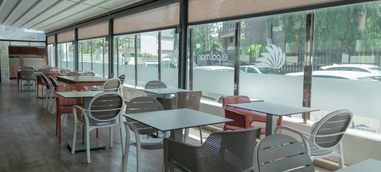 厄尔巴尔玛酒店(Apartamentos El Palmar)图片