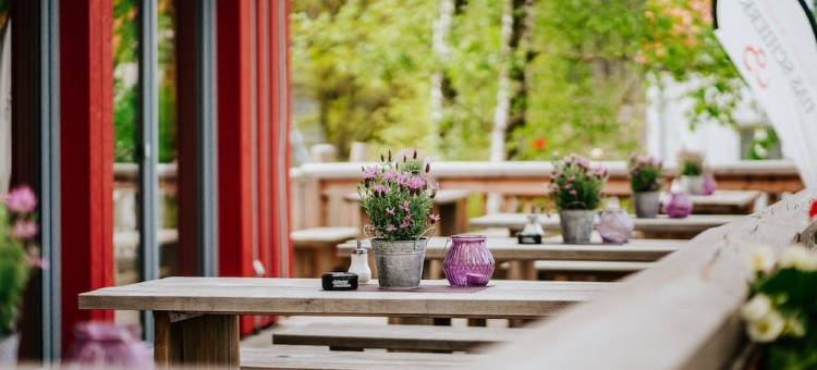 达斯施奇赫哈尔斯布罗肯度假村(Das Schierke Harzresort)图片