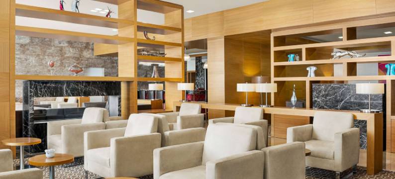 温德姆花园迪亚巴克尔(Wyndham Garden Diyarbakir)图片