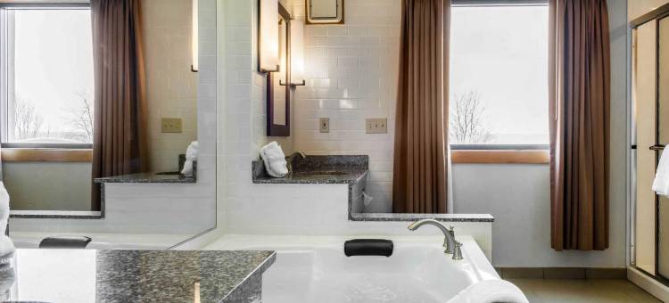 舒适酒店及套房(Comfort Inn & Suites)图片