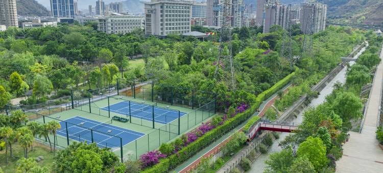 米易宁泽阳光酒店图片