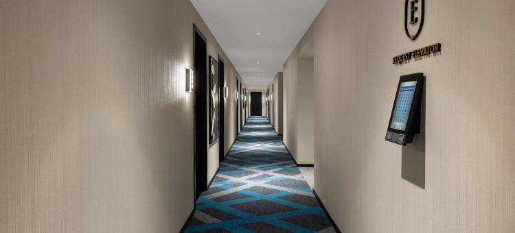 迈阿密埃尔瑟酒店-全套房酒店(The Elser Hotel Miami - An All-Suite Hotel)图片