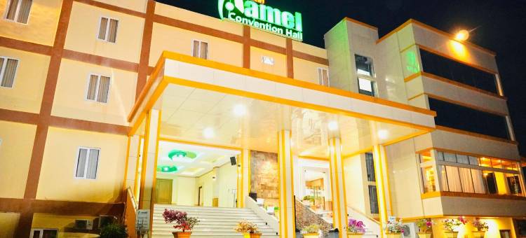 阿梅尔酒店及会议厅(Hotel Amel Aceh)图片