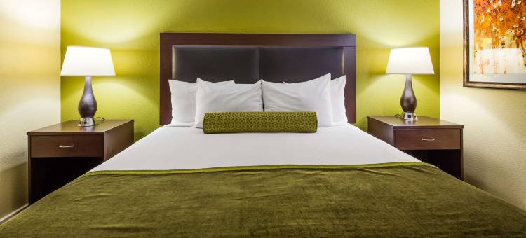 拉斯维加斯皇家娱乐场贝斯特韦斯特优质酒店(Best Western Plus Casino Royale – Center Strip)图片