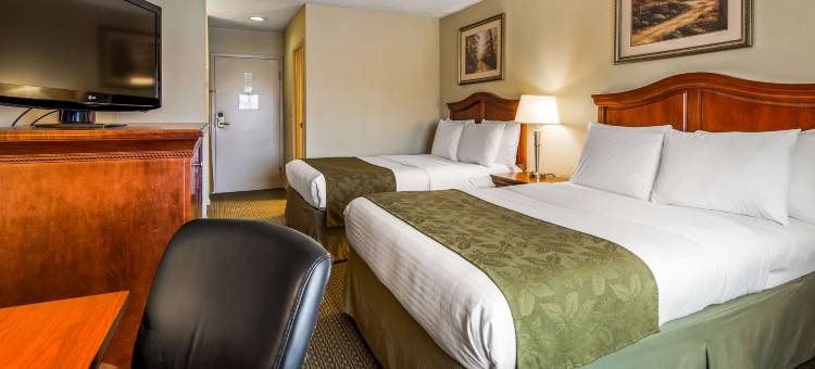 南方贝斯特韦斯特优质酒店(Best Western Shepherdsville)图片