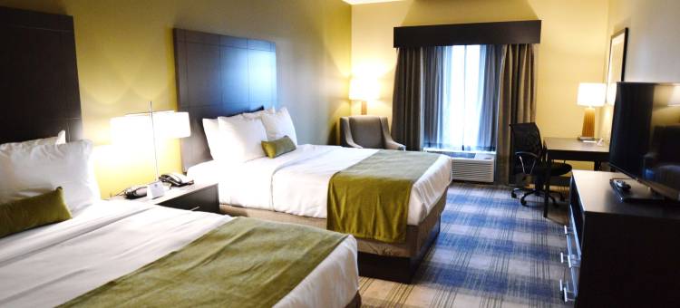纽奥良机场贝斯特韦斯特优质酒店(Best Western Plus New Orleans Airport Hotel)图片