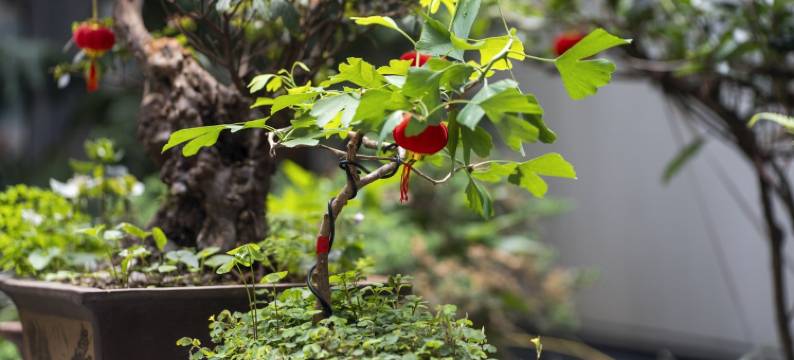 大理湘云雅居(爱琴海购物公园店)图片