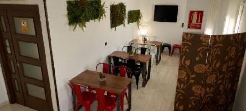 维奥莱塔旅馆(El Hostal de Violeta)图片