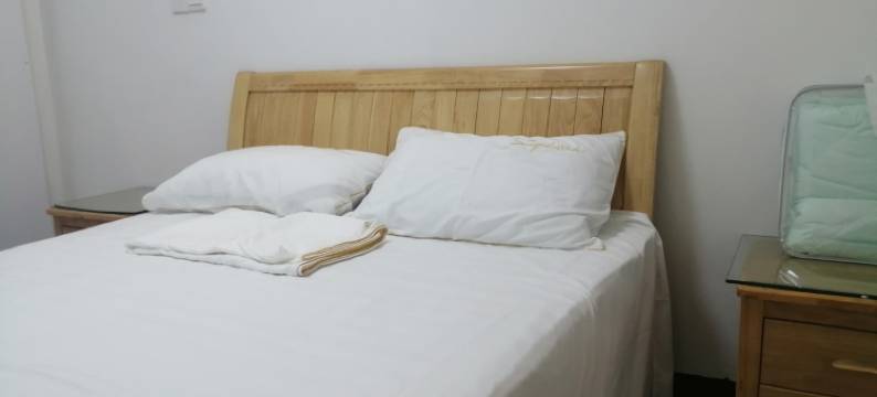 房东飞箭公寓(陈家弄分店)图片